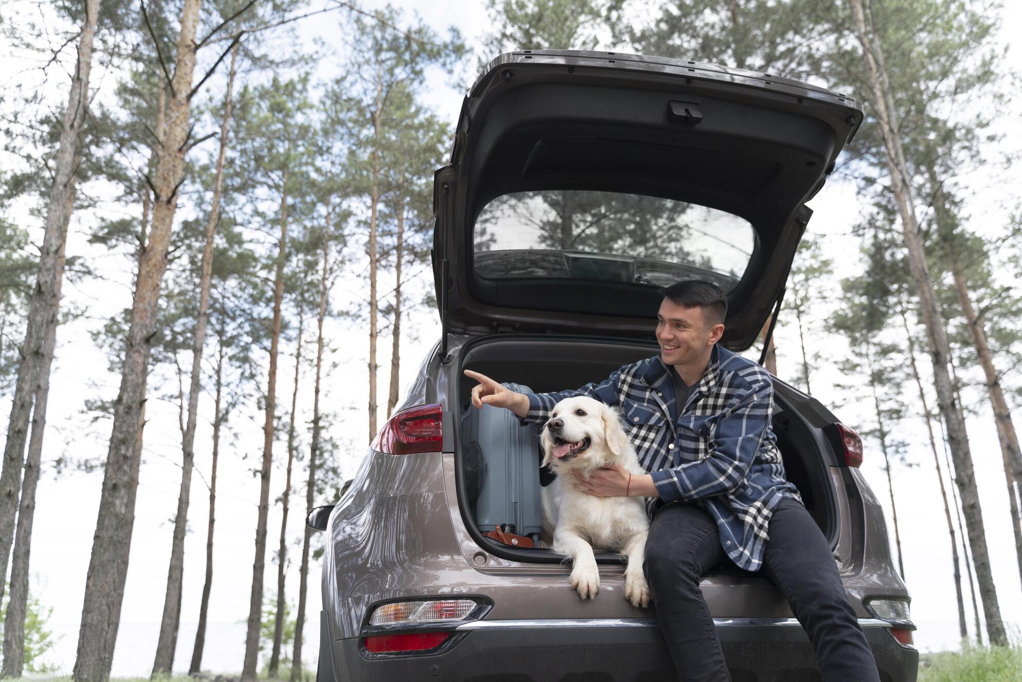 Top Dog-Friendly Vehicles for 2024: A Comprehensive Guide